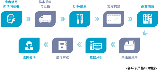 小鱼儿精准24码