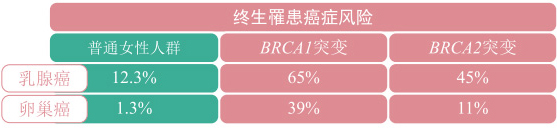 小鱼儿精准24码