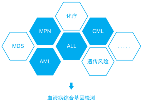 小鱼儿精准24码