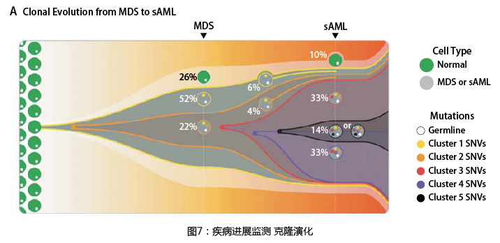 小鱼儿精准24码