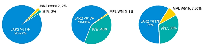 小鱼儿精准24码