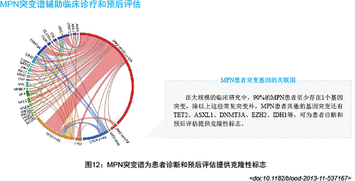 小鱼儿精准24码