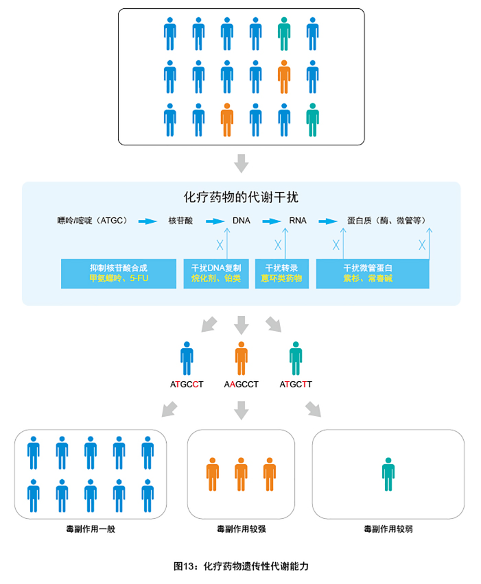 小鱼儿精准24码